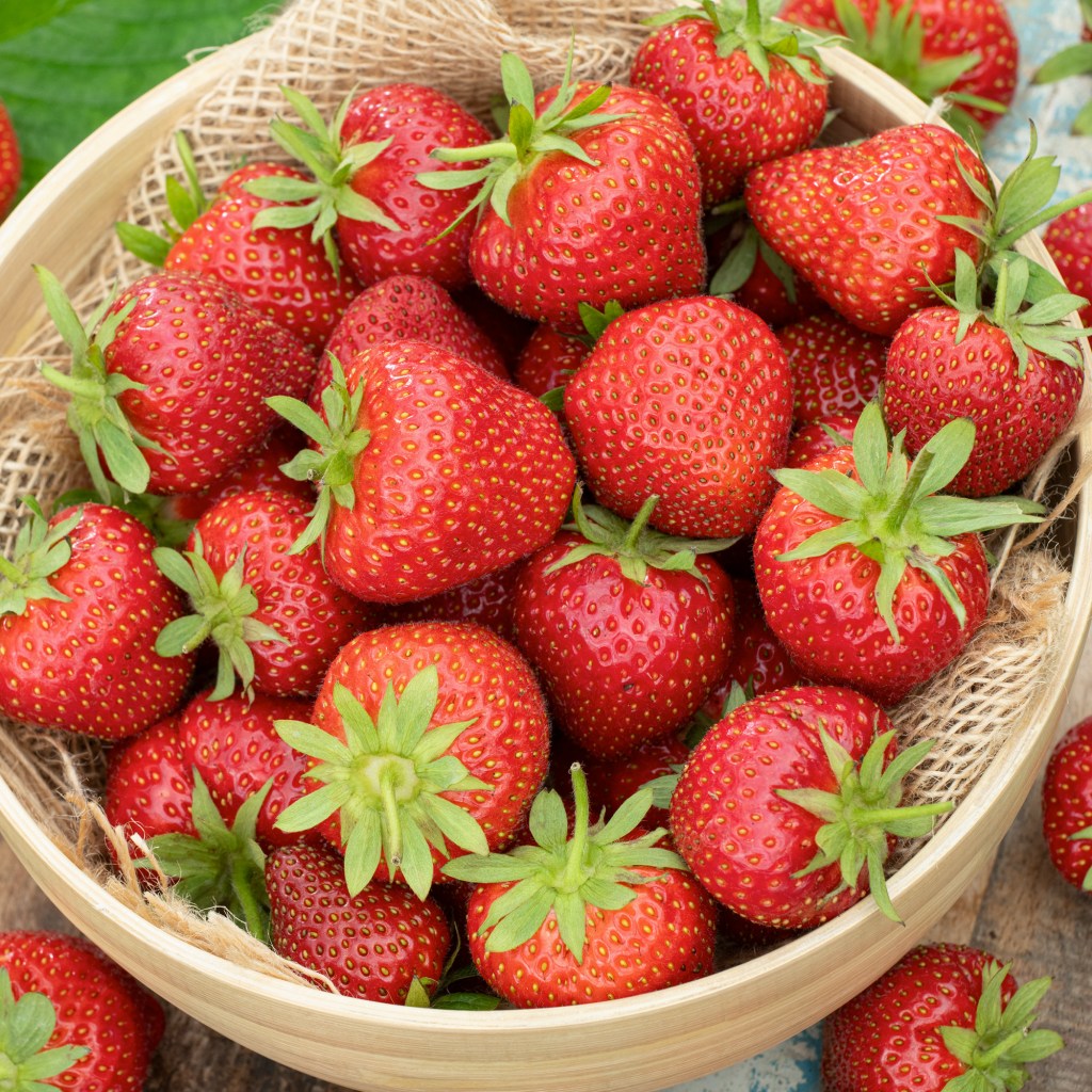 A close-up image of ripe, red strawberries in a natural woven basket, showcasing their vibrant color and fresh appearance.