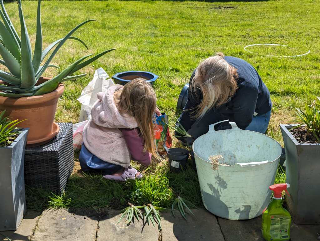 A woman and a young girl are gardening together in a sunny outdoor space, surrounded by various potted plants.