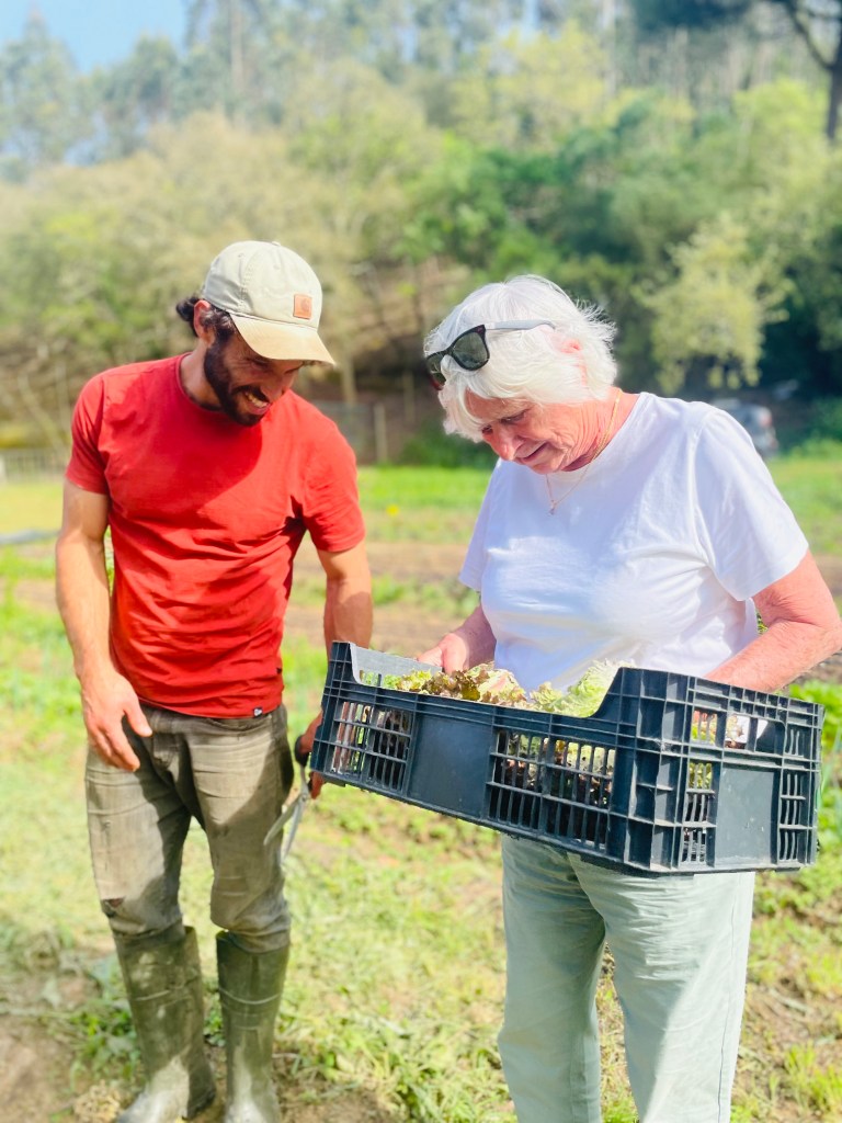 A young man and an older woman smile while harvesting vegetables in a sunny garden, with the woman holding a crate filled with fresh produce.