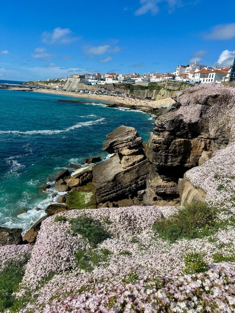 Scenic view of rocky coastline adorned with blooming flowers, overlooking a beach and seaside town under a bright blue sky.